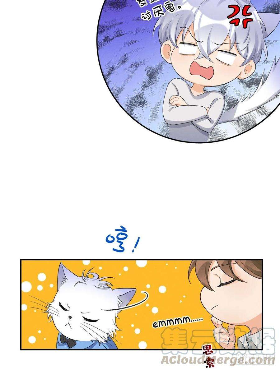 今天也要努力当只猫15话 秘密