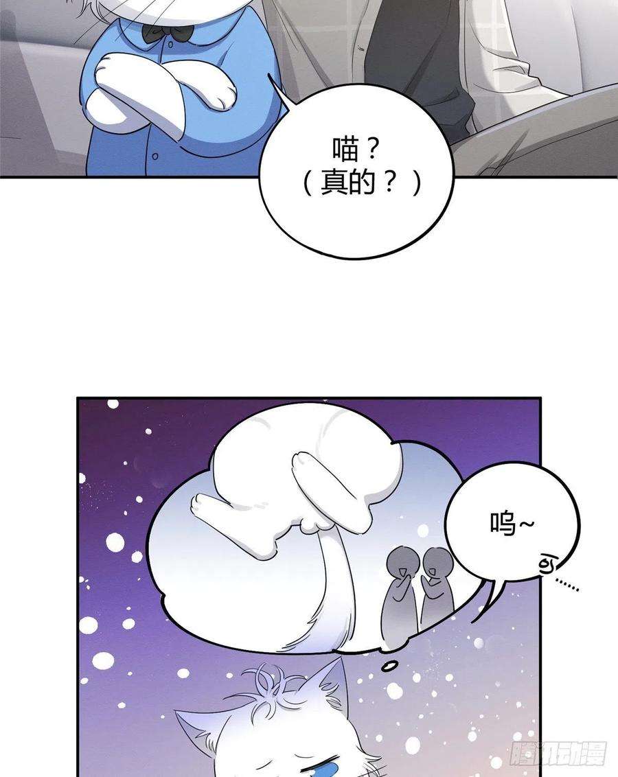 今天也要努力当只猫15话 秘密