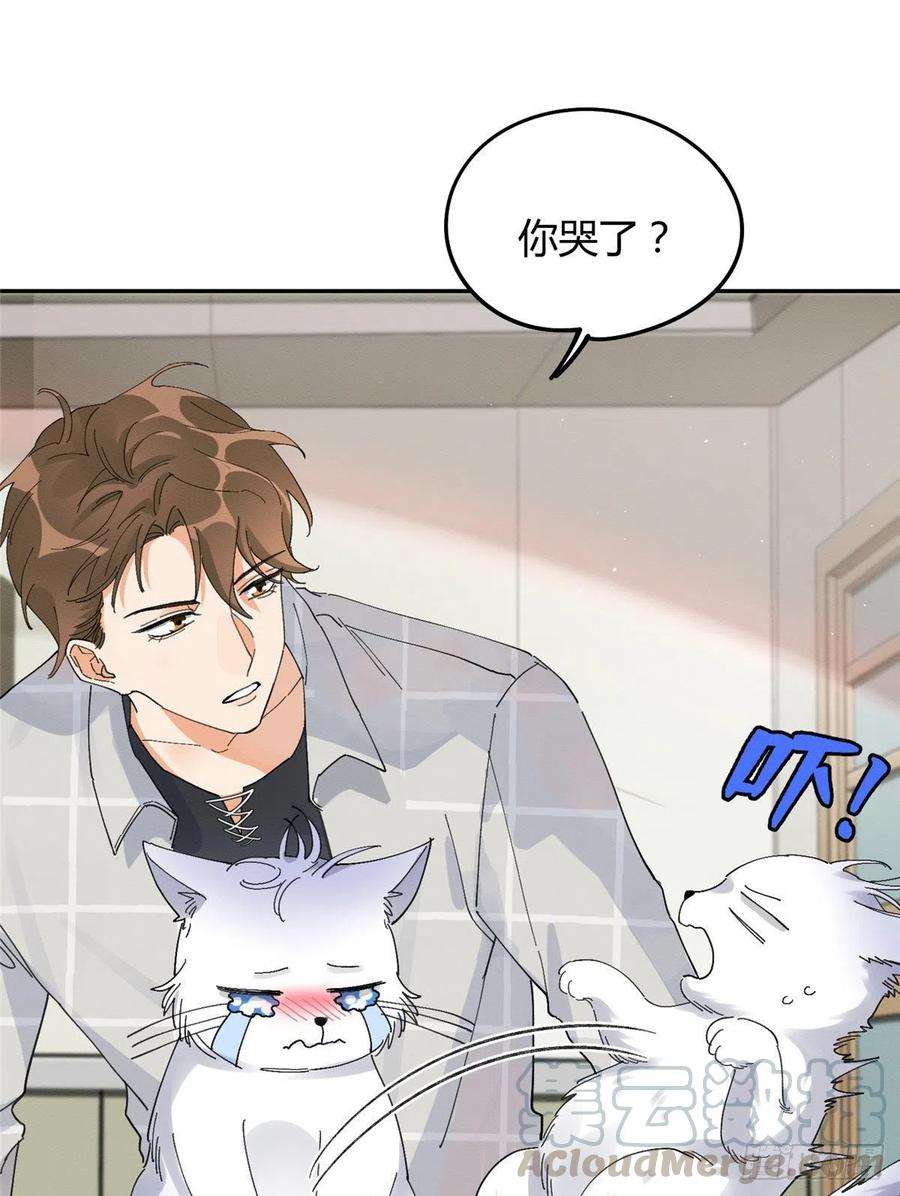 今天也要努力当只猫16话 你哭了？