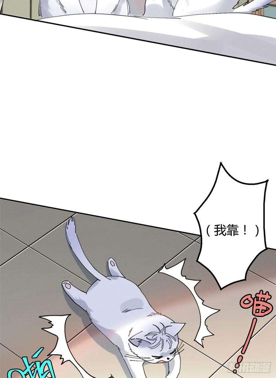 今天也要努力当只猫16话 你哭了？