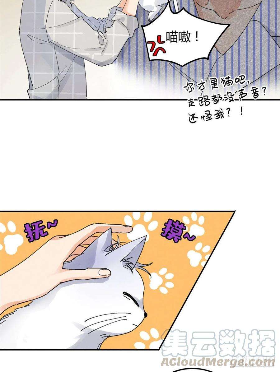 今天也要努力当只猫16话 你哭了？