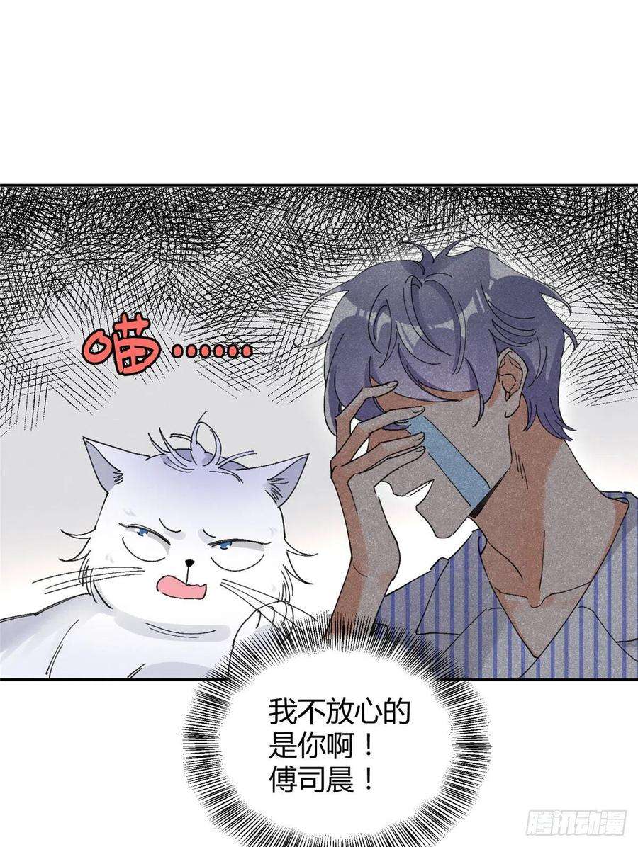 今天也要努力当只猫16话 你哭了？