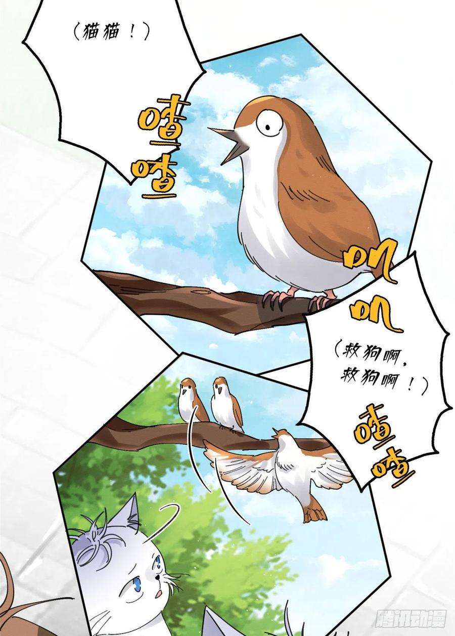 今天也要努力当只猫16话 你哭了？