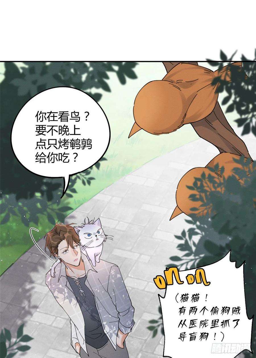 今天也要努力当只猫16话 你哭了？