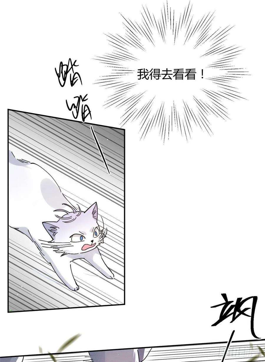 今天也要努力当只猫16话 你哭了？