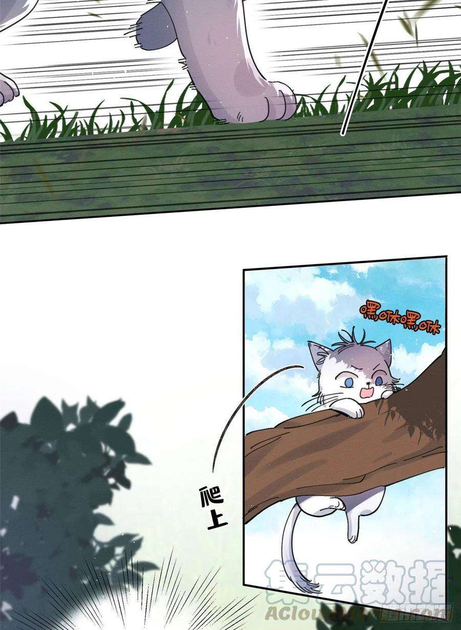 今天也要努力当只猫16话 你哭了？