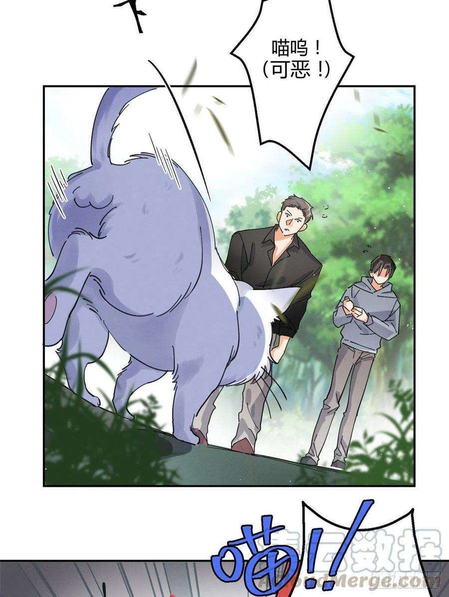 今天也要努力当只猫16话 你哭了？