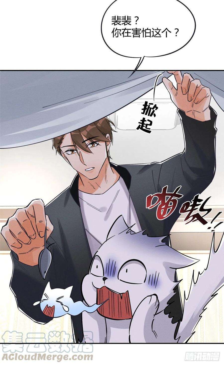 今天也要努力当只猫18话 好哥哥