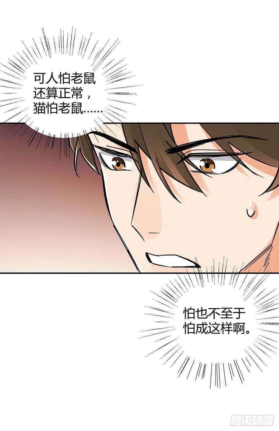 今天也要努力当只猫18话 好哥哥