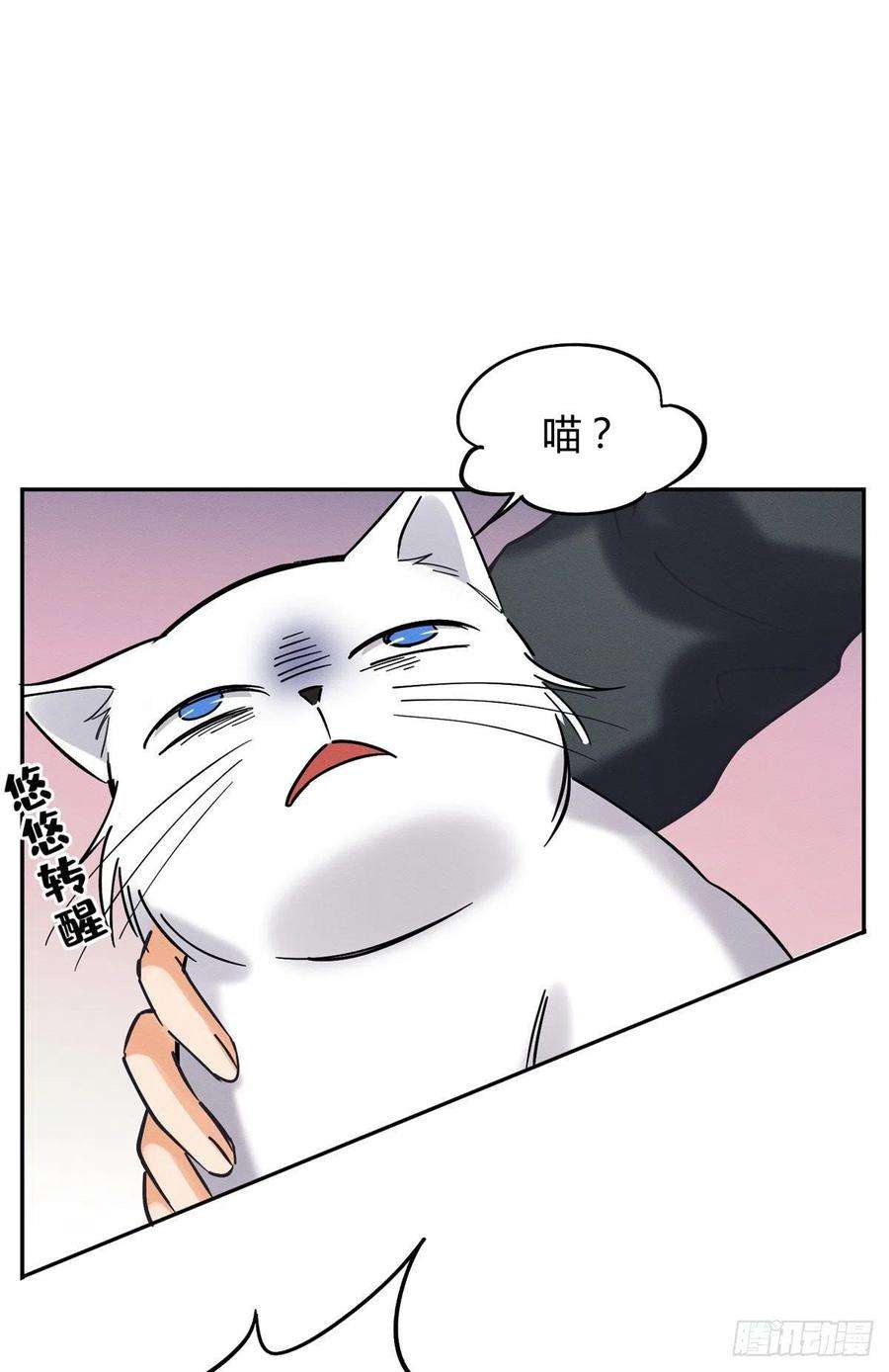 今天也要努力当只猫18话 好哥哥