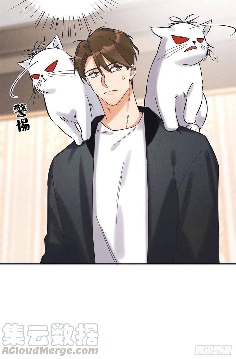 今天也要努力当只猫18话 好哥哥