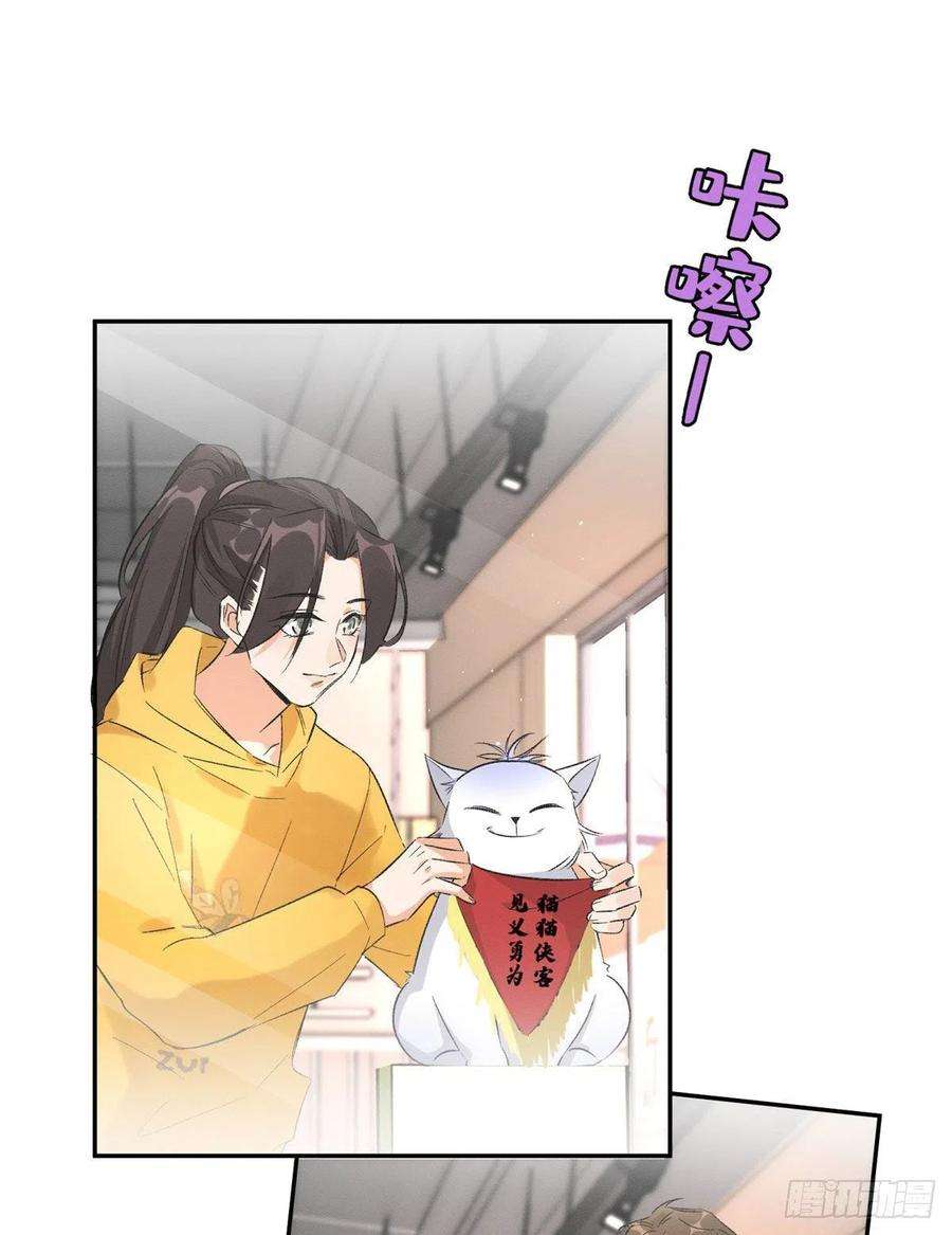 今天也要努力当只猫19话 营业！