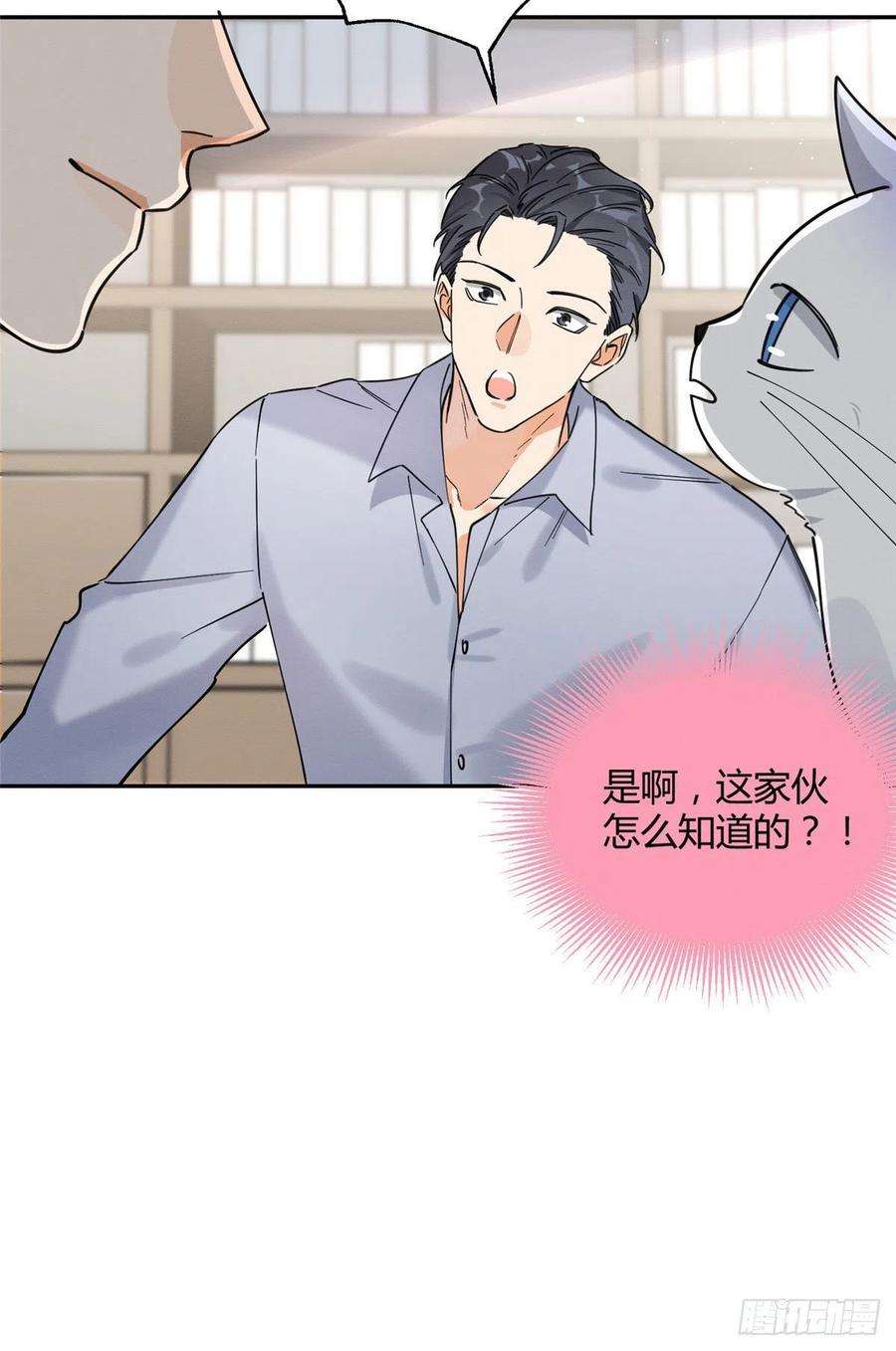 今天也要努力当只猫19话 营业！