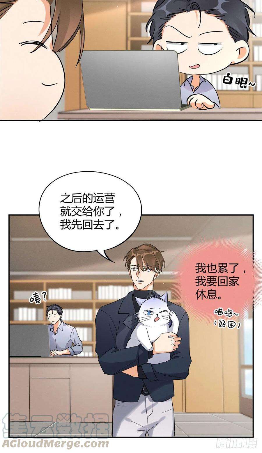 今天也要努力当只猫19话 营业！