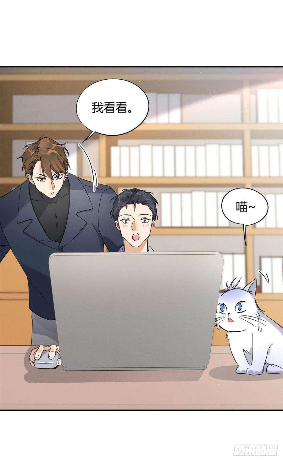 今天也要努力当只猫19话 营业！