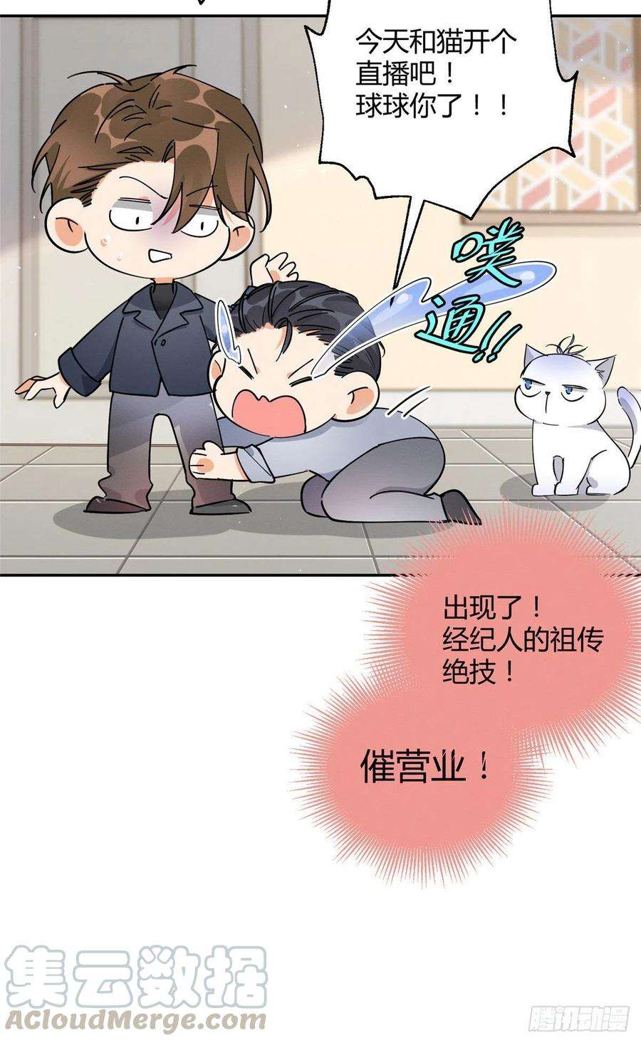 今天也要努力当只猫19话 营业！