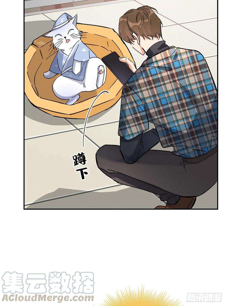 今天也要努力当只猫20话 喜欢我吗