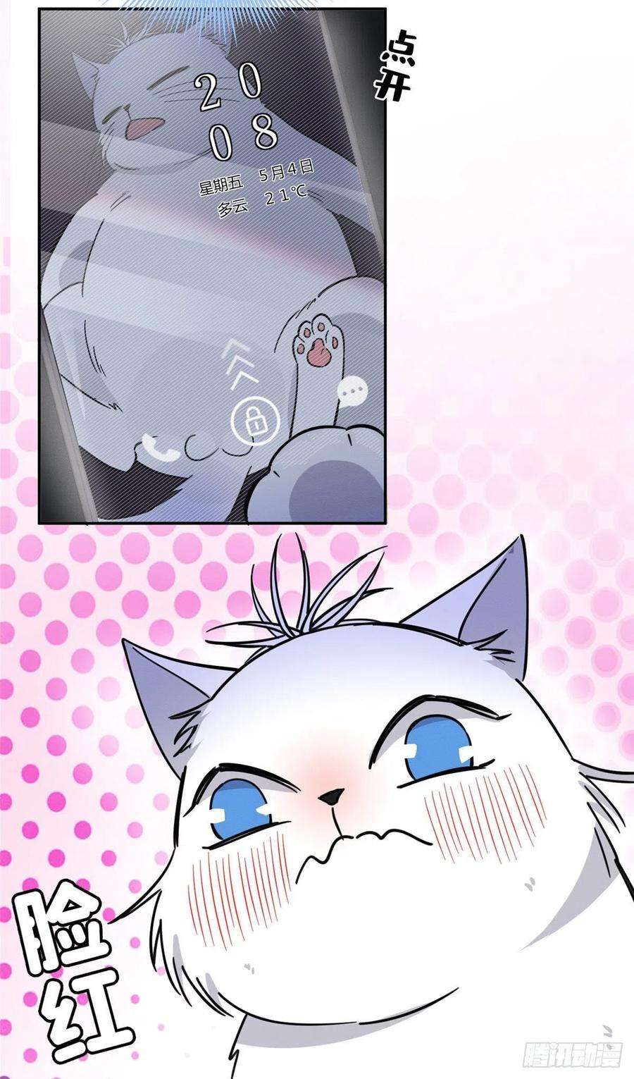 今天也要努力当只猫22话 大变态——！