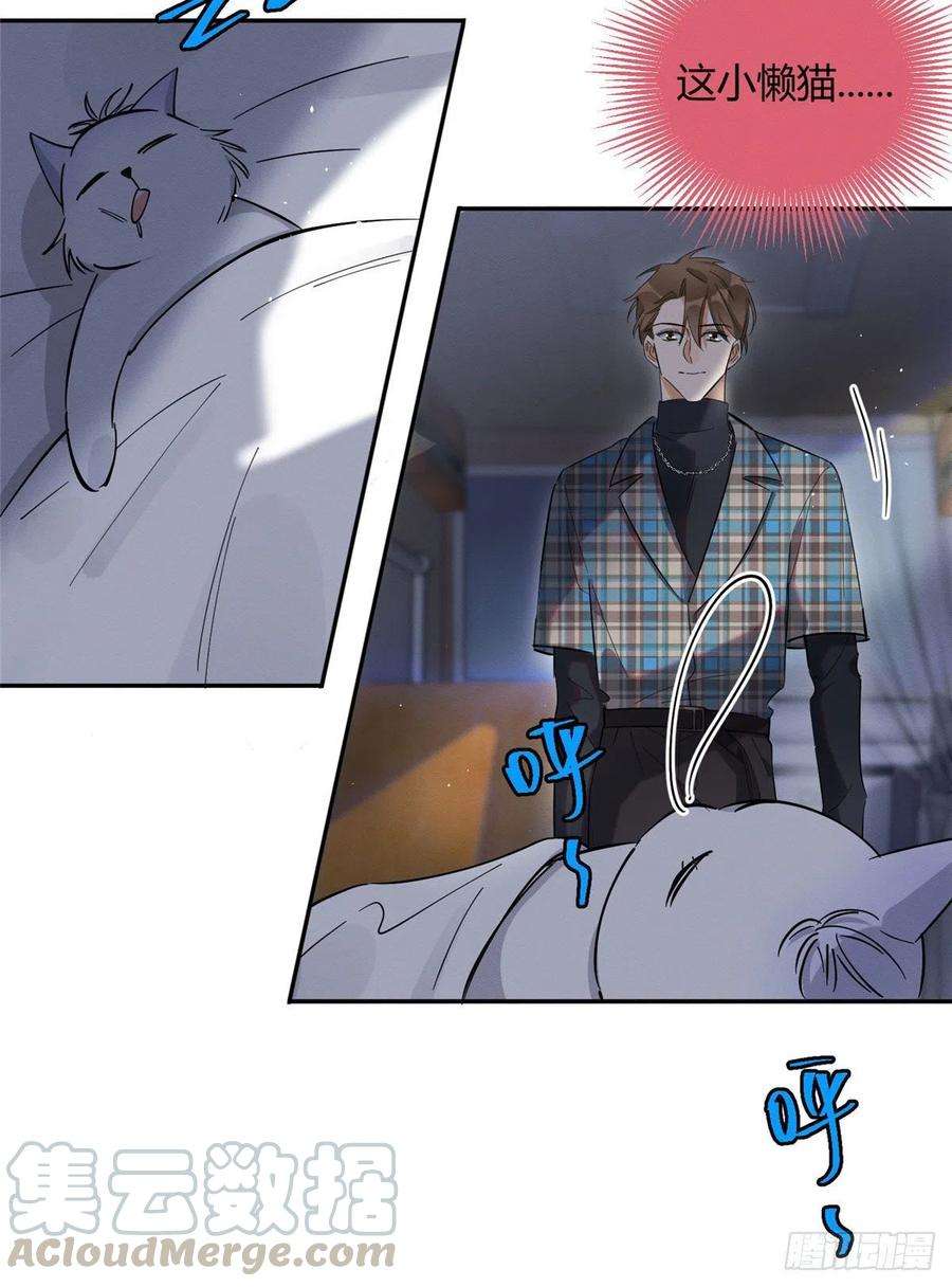 今天也要努力当只猫23话 机会来了！