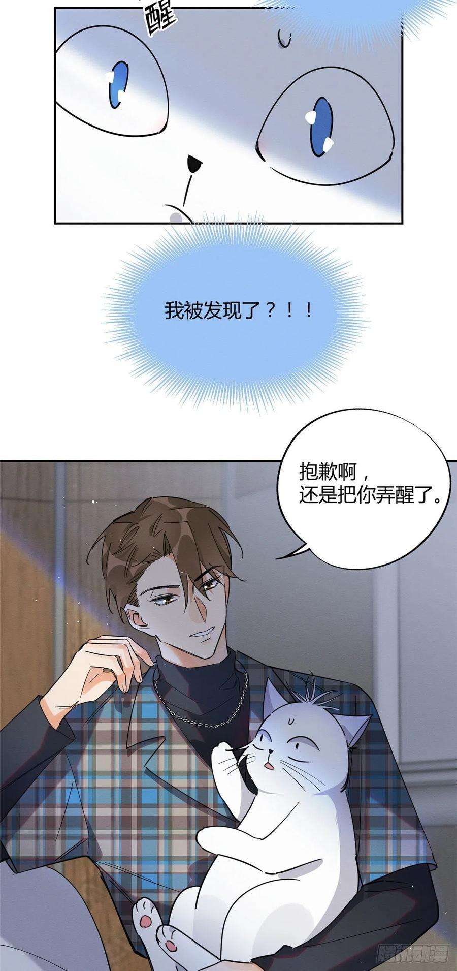 今天也要努力当只猫23话 机会来了！