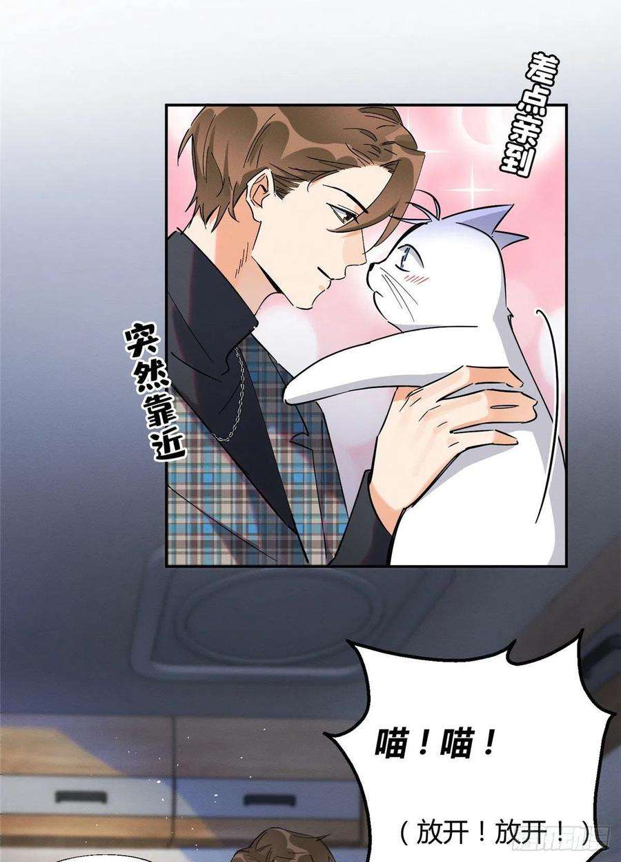 今天也要努力当只猫23话 机会来了！