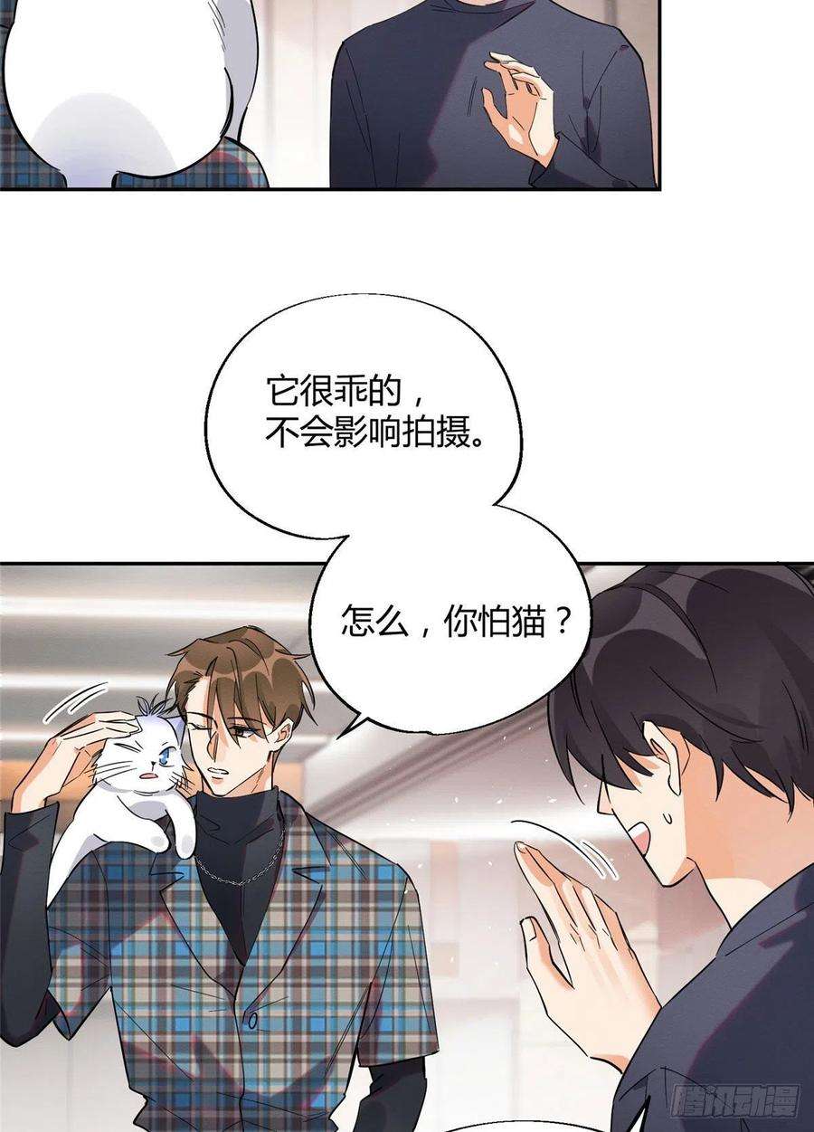 今天也要努力当只猫23话 机会来了！