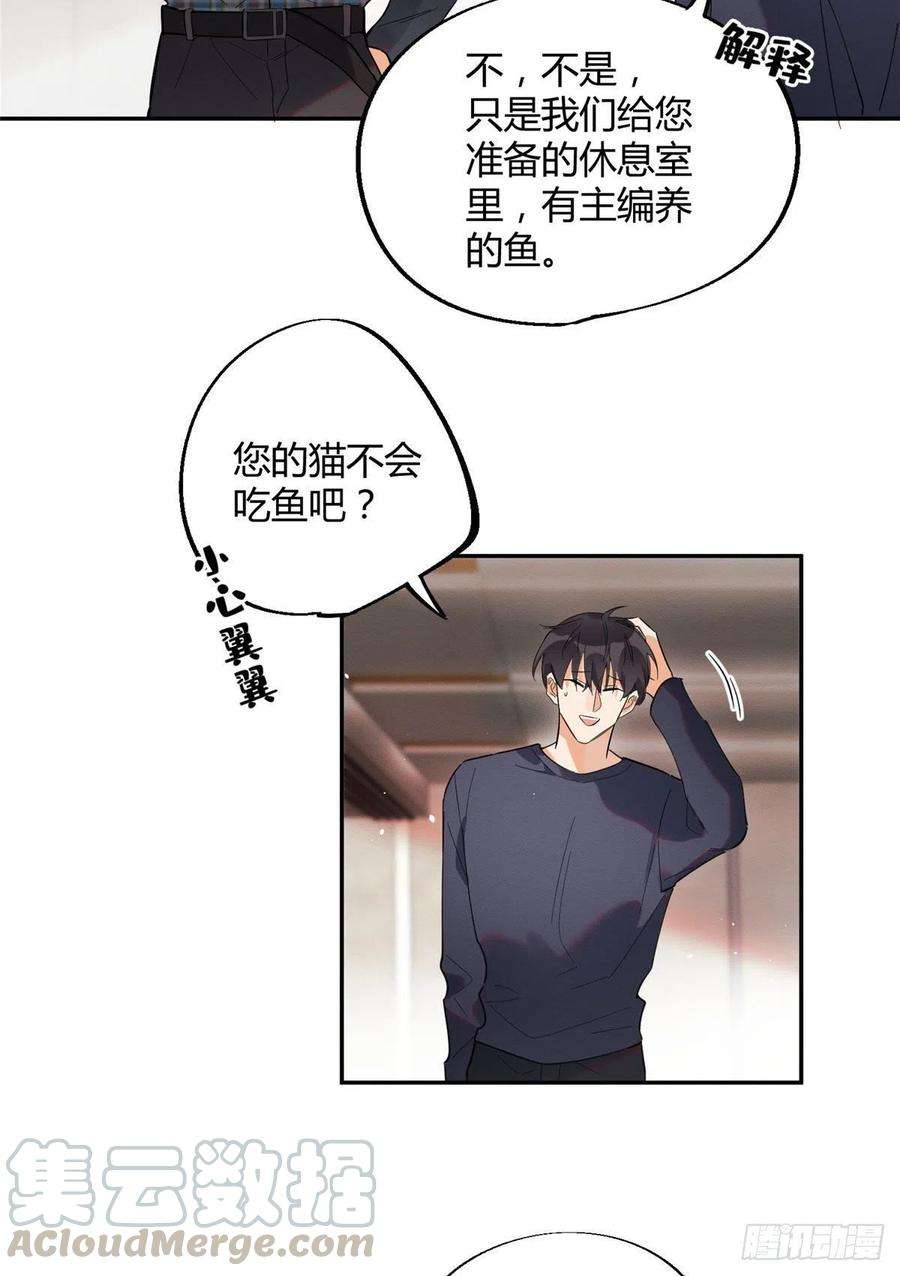 今天也要努力当只猫23话 机会来了！