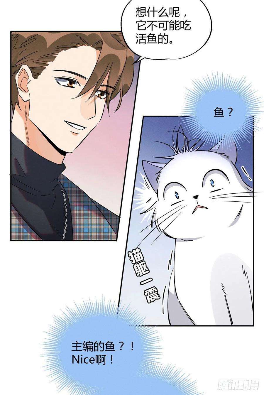 今天也要努力当只猫23话 机会来了！