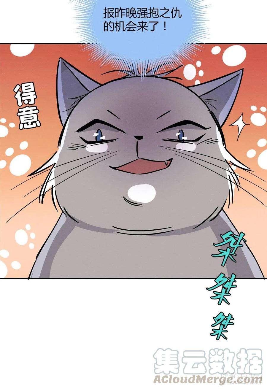 今天也要努力当只猫23话 机会来了！