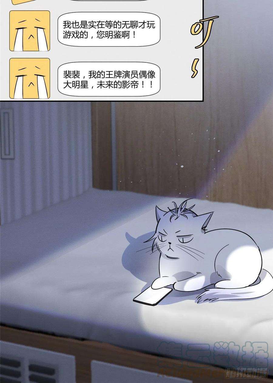 今天也要努力当只猫23话 机会来了！