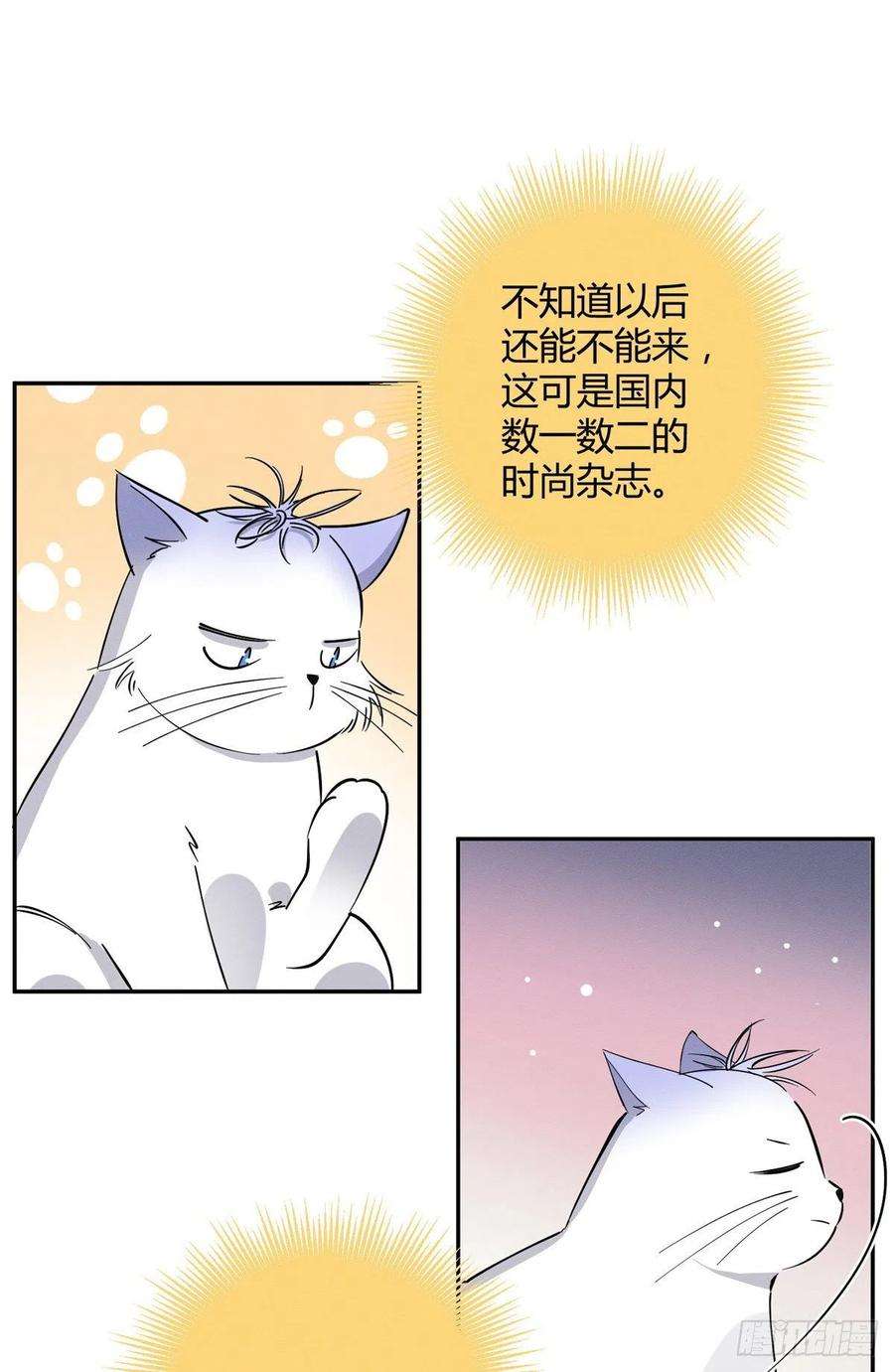 今天也要努力当只猫24话 别冤枉他