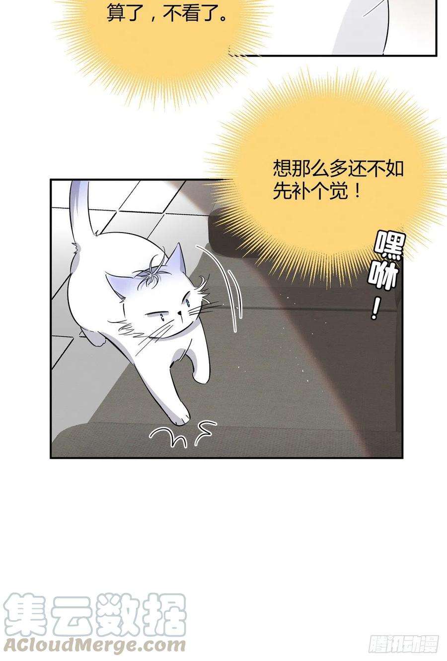 今天也要努力当只猫24话 别冤枉他