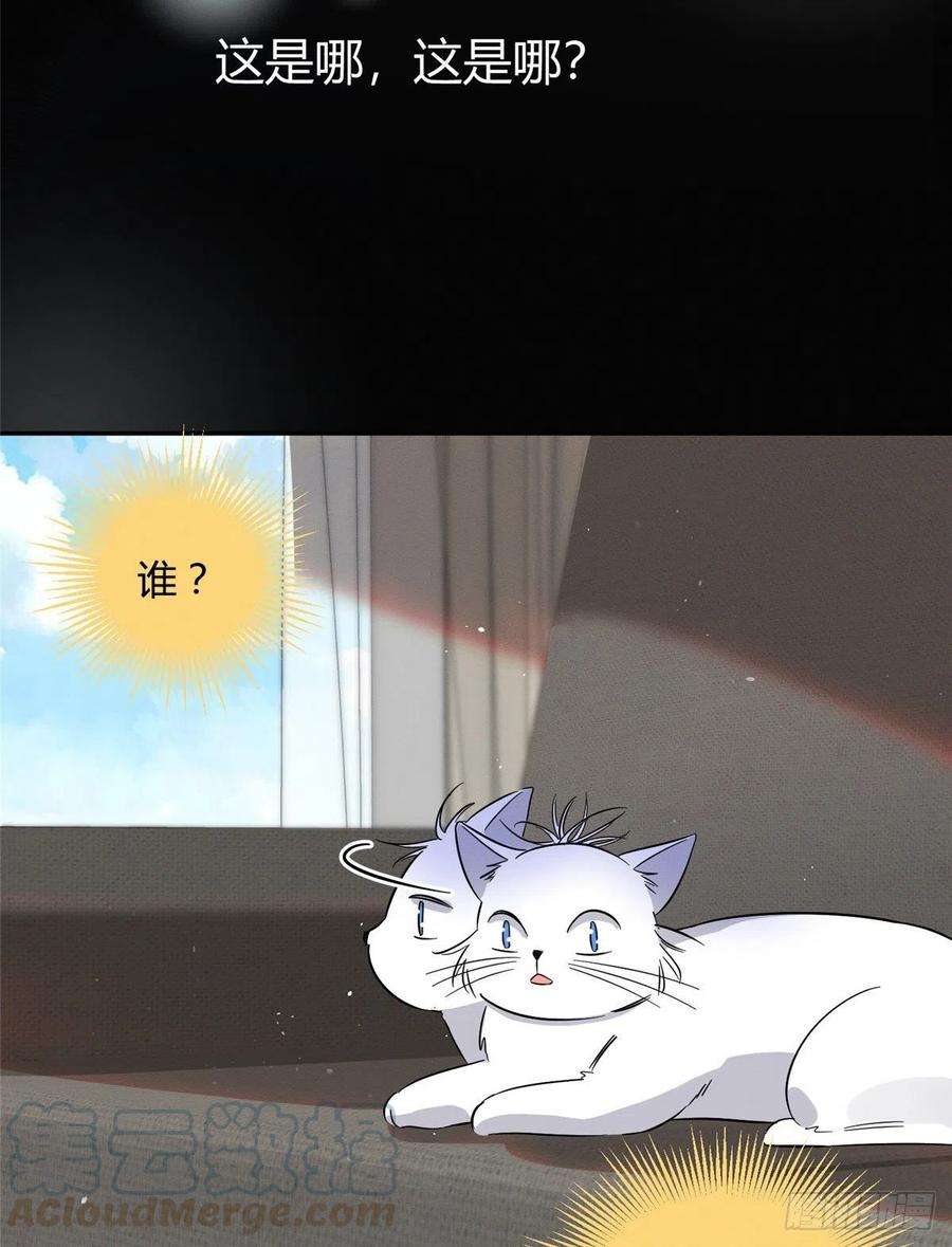 今天也要努力当只猫24话 别冤枉他