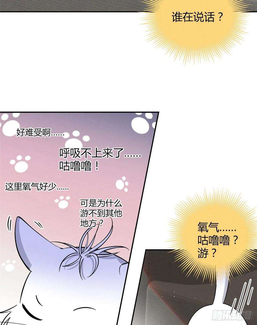 今天也要努力当只猫24话 别冤枉他