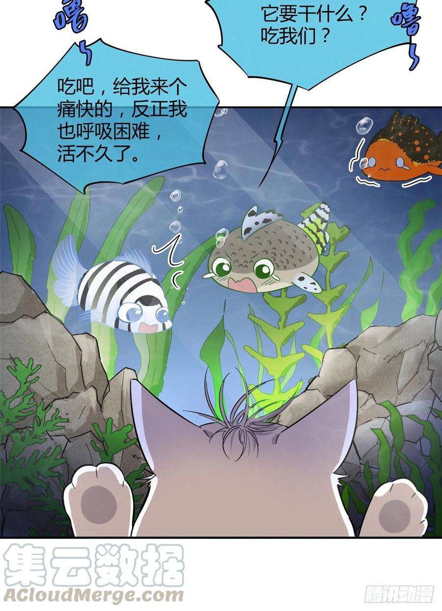 今天也要努力当只猫24话 别冤枉他