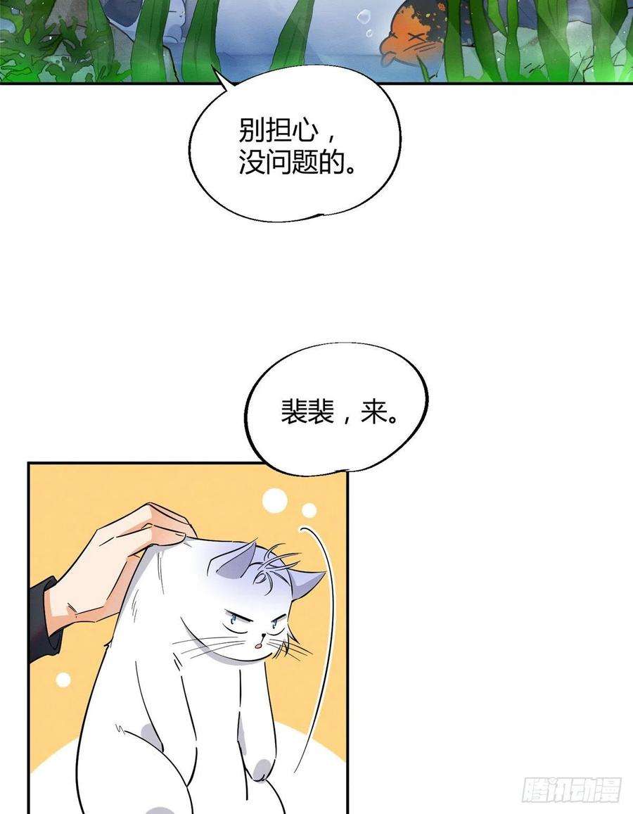 今天也要努力当只猫24话 别冤枉他