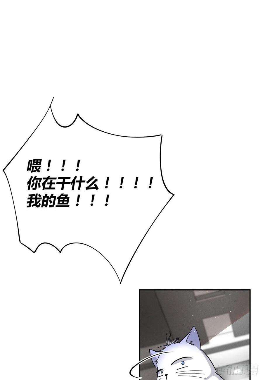 今天也要努力当只猫24话 别冤枉他