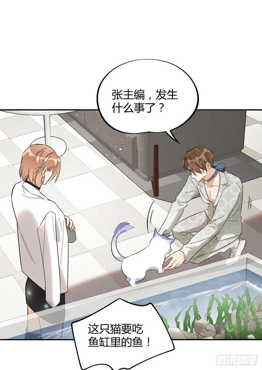 今天也要努力当只猫24话 别冤枉他