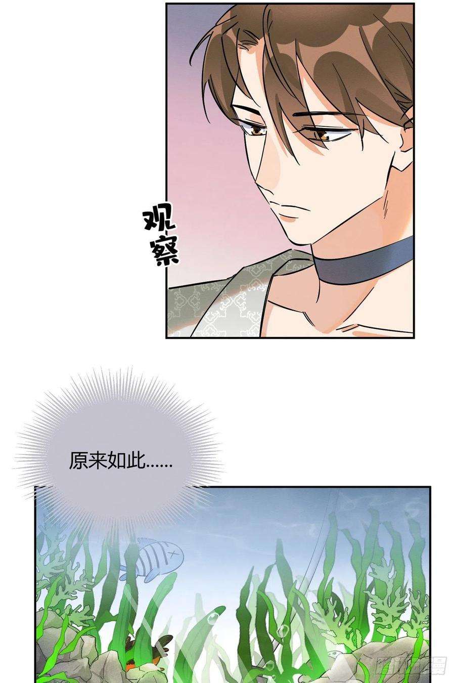 今天也要努力当只猫24话 别冤枉他