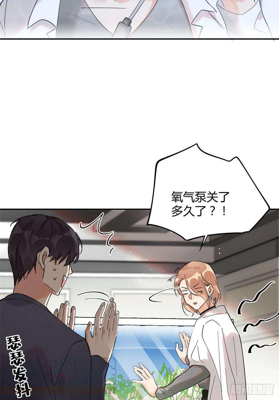 今天也要努力当只猫24话 别冤枉他