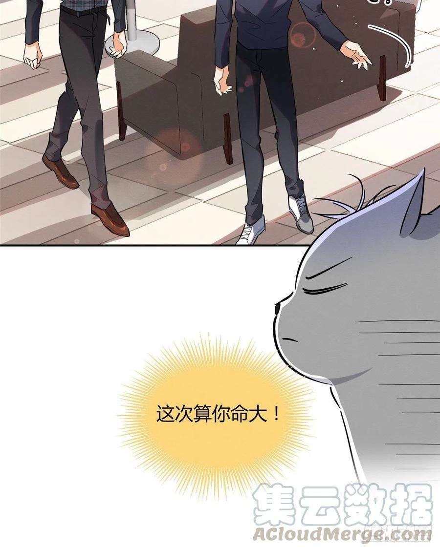 今天也要努力当只猫24话 别冤枉他