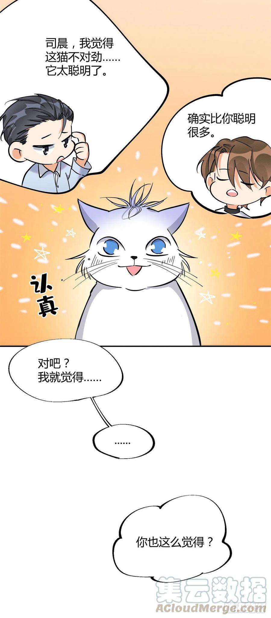 今天也要努力当只猫25话 又亲了！