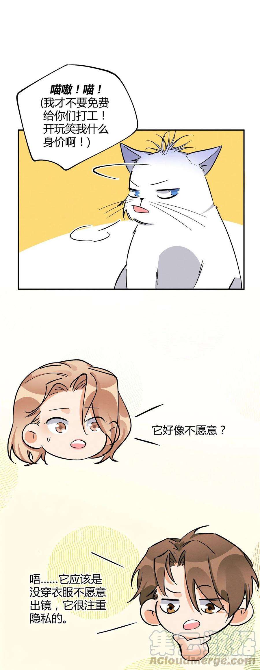 今天也要努力当只猫25话 又亲了！