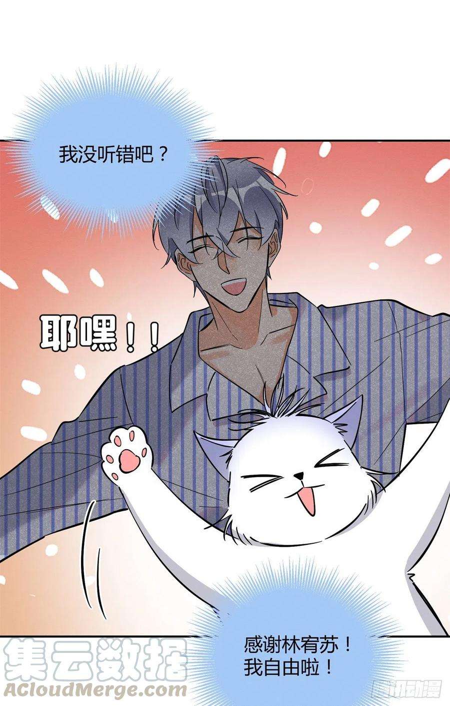 今天也要努力当只猫25话 又亲了！