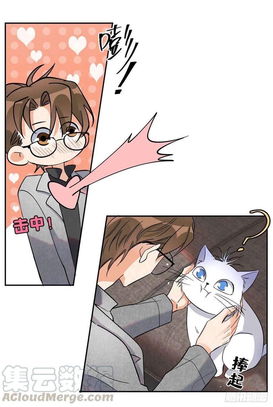 今天也要努力当只猫25话 又亲了！