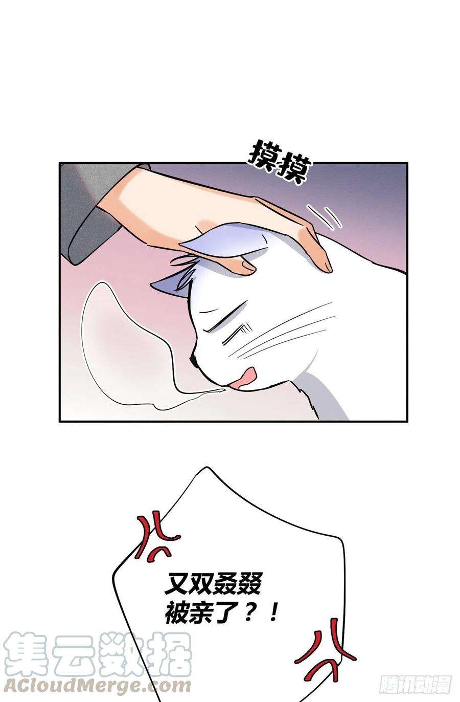 今天也要努力当只猫25话 又亲了！