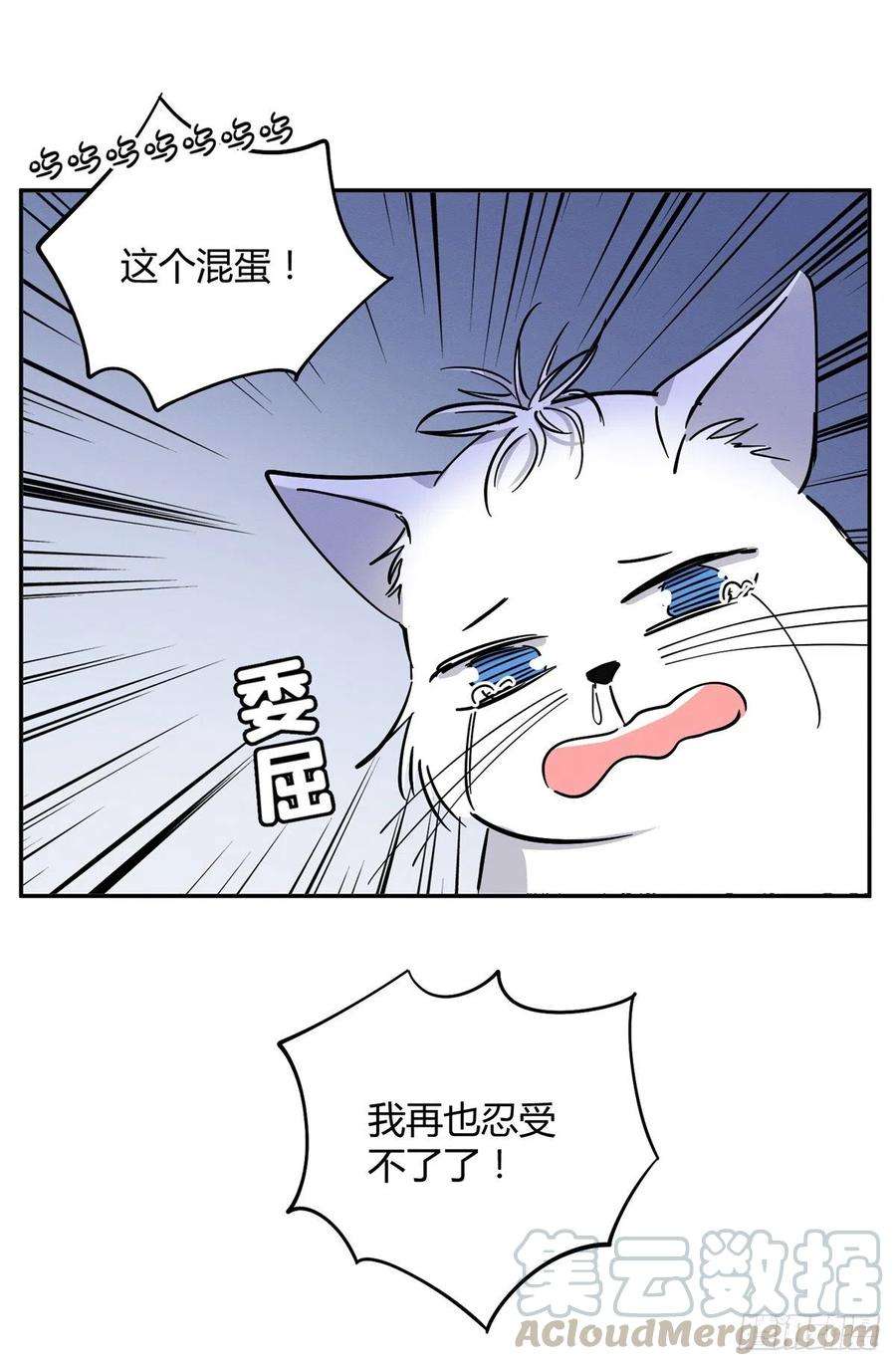 今天也要努力当只猫25话 又亲了！