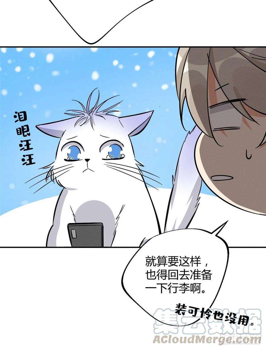 今天也要努力当只猫26话 他爱的是我