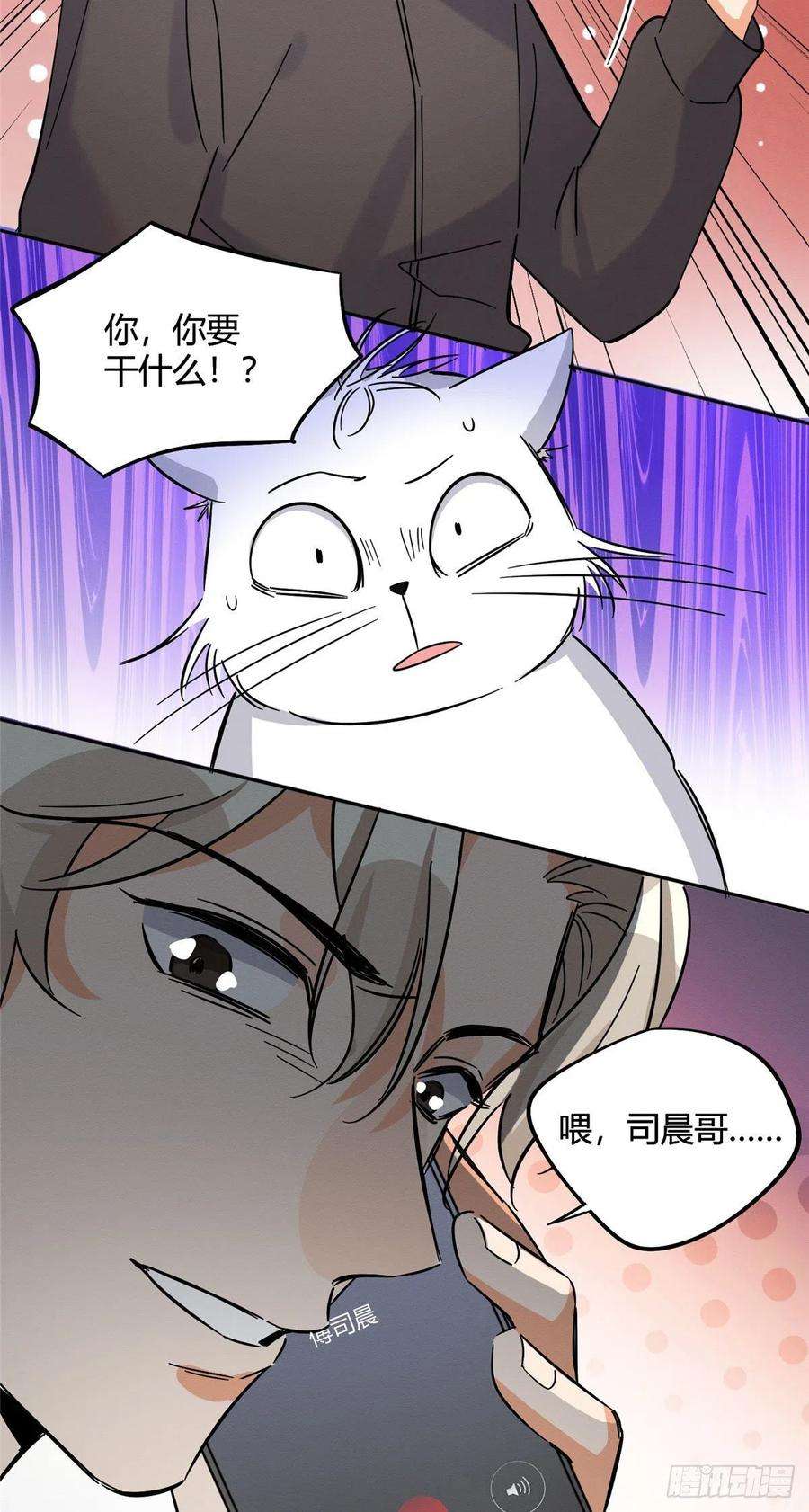 今天也要努力当只猫26话 他爱的是我