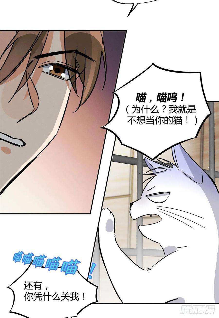 今天也要努力当只猫27话 仗着我喜欢你